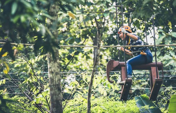Phoenix Adventure Park Chiang Mai