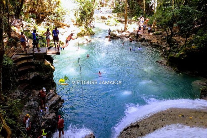 Visitors swimming and jumping