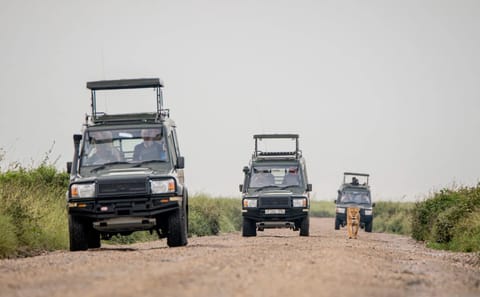 Central Serengeti 5-Day Great Migration Safari