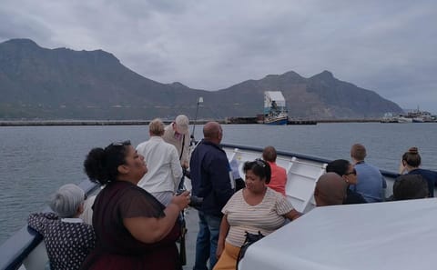 Private Tour of Cape of Good Hope, Penguins, and Kirstenbosch