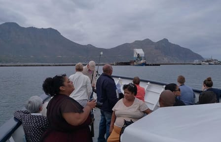 Private Tour of Cape of Good Hope, Penguins, and Kirstenbosch