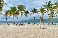 Excursión a Samana, Cascada Limón Y Isla Bacardí 10