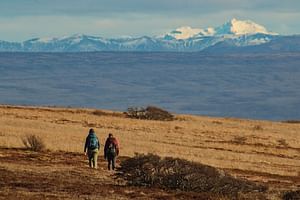 6-Hour Patagonian Forest Hike in Punta Arenas