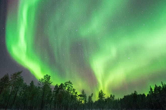 Rovaniemi: Insider Private Aurora Hunting Trip