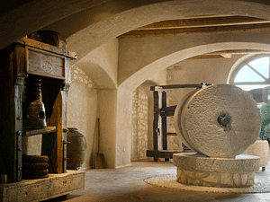 Olive Mill Tour and Tasting in the Verona Countryside