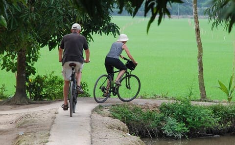Small-Group Hoa Lu and Tam Coc Day Tour from Hanoi