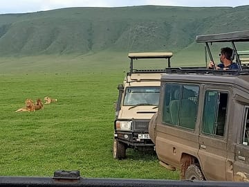 Luxury 6-Day Safari Adventure in Northern Tanzania