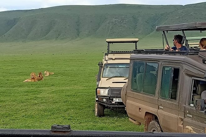 Ngorongoro Crater Game Drive