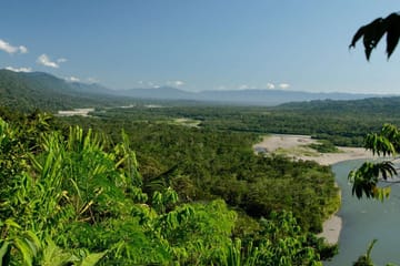 Explore the Peruvian Amazon: 4-Day Macaw Watching Tour