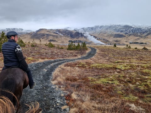 Hot Spring Valley Horse Riding Tour – Reykjadalur, photo 2