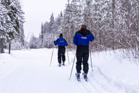 Cross Country Skiing Experience - Rovaniemi 8
