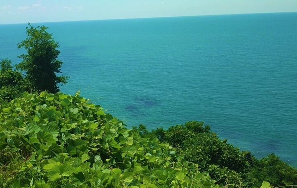 Explore Batumi's Boulevard, Argo, and Dendrological Park