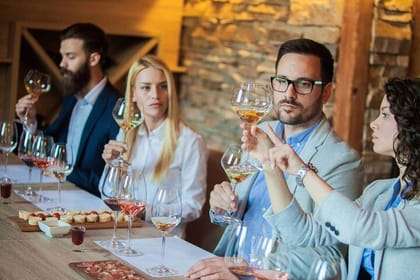 All inclusive, 20 glasses Full Day Wine Tour in Cape Town