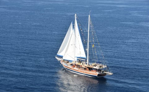 Luxury Snorkeling and Adventure Trip to Ras Mohamed from Sharm El Sheikh