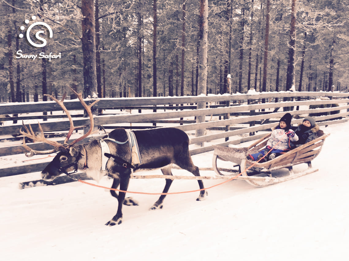 Reindeer Farm Visit & Sled Ride 2