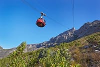  Table Mountain, Chapmans Peak , Penguins and Wine Tasting  4