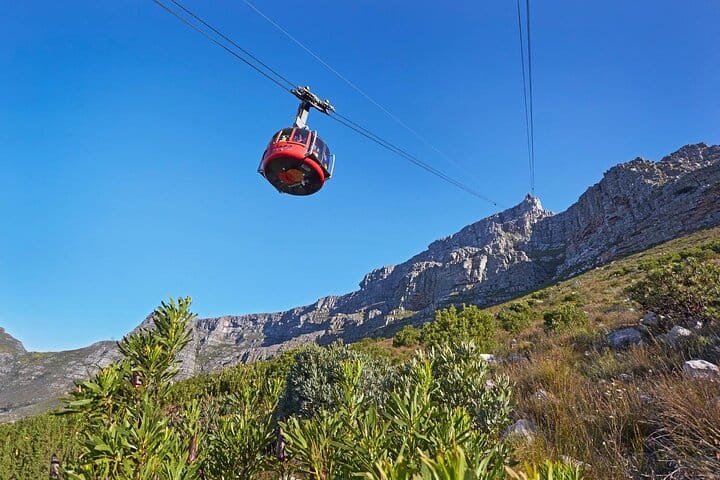  Table Mountain, Chapmans Peak , Penguins and Wine Tasting  4