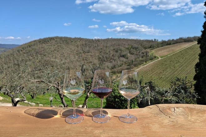 Private Wine Tasting & Traditional Algarve Country Lunch 9