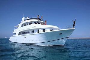 Private VIP Boat Snorkeling Day To White Island And Ras Mohamed