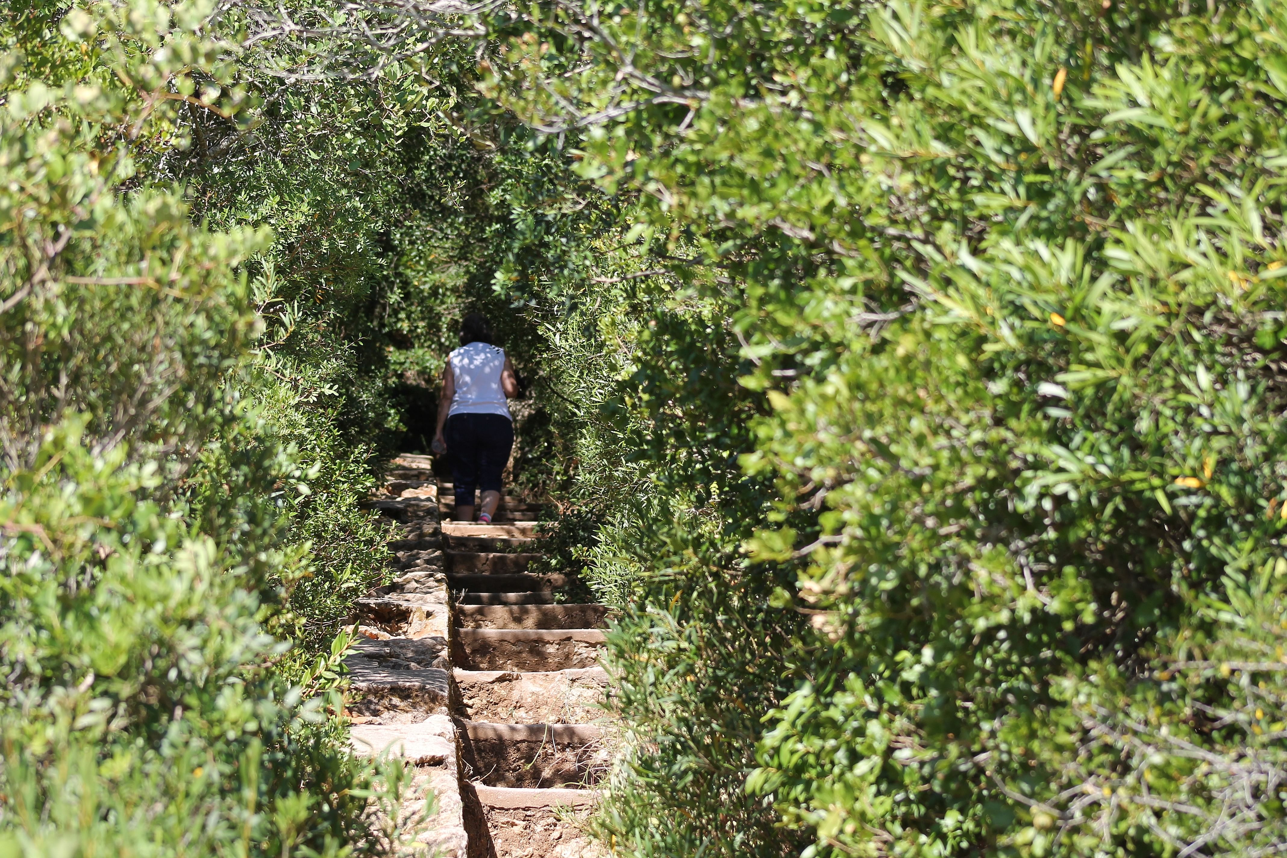 PARTNERS - Private Natural and Historic Arrábida