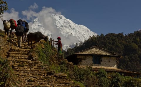 Family-Friendly Lower Annapurna Royal Trek in Kaski