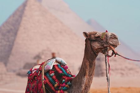 Giza Pyramids Adventure: Explore Ancient Egypt’s Wonders and Sphinx