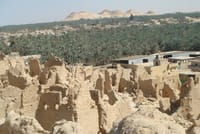 Budget Travel Package to Siwa Oasis from Cairo or Giza 1