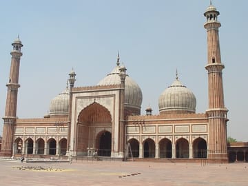 Delhi to Bhopal: Taj Mahal, Temples, and Tiger Safari Tour