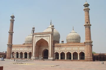 Delhi to Bhopal: Taj Mahal, Temples, and Tiger Safari Tour