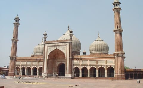 Delhi to Bhopal: Taj Mahal, Temples, and Tiger Safari Tour