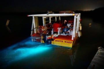 Dunn's River Falls and Luminous Lagoon Tour from Falmouth