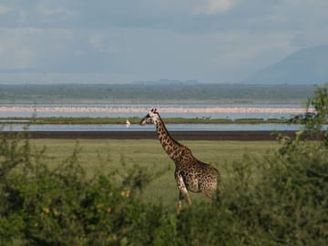 ATV Safari Tour in Lake Manyara National Park from Arusha