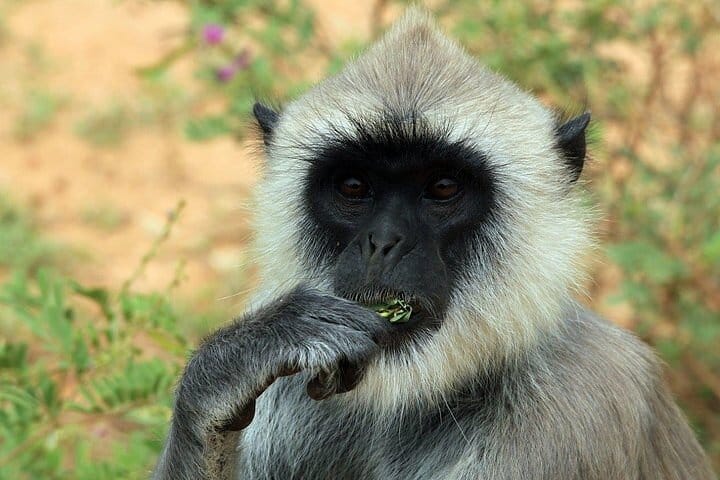 The Local Way – 7 Days Tour