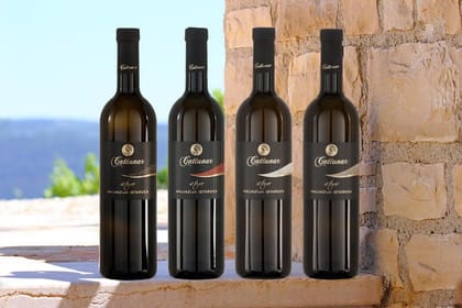 Private Symbols of Istria Tour – from Poreč and Rovinj