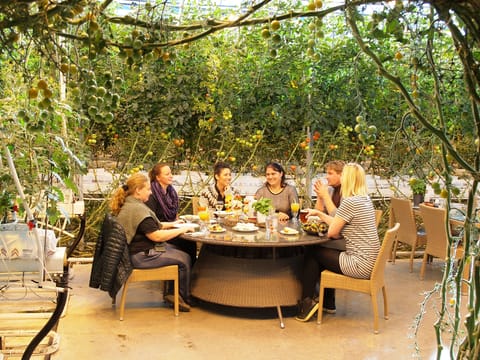 Lunch at the greenhouse at Friðheimar farm