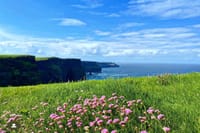 From Dublin: Premium Tour (Boat/Bird of Prey) Cliffs of Moher & Aillwee Cave 7