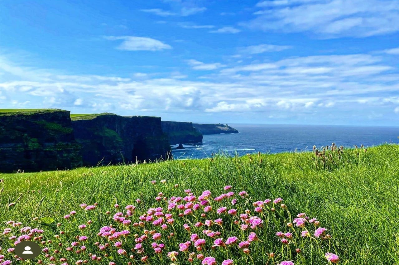 From Dublin: Premium Tour (Boat/Bird of Prey) Cliffs of Moher & Aillwee Cave 7