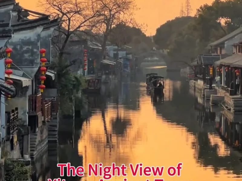 Shanghai: Taohuajie Water Forest Paddleboard Day Trip