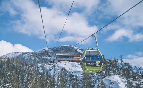 Private Winter Adventure Tour at Grouse Mountain, Vancouver