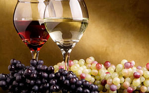 Bilbao: Conoce el vino vasco, Txakoli en una bodega singular