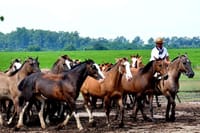 Santa Susana Ranch
