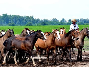 Santa Susana Ranch