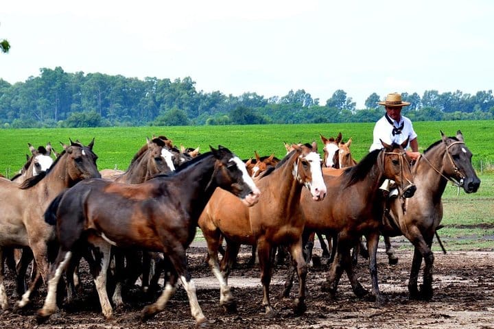 Santa Susana Ranch