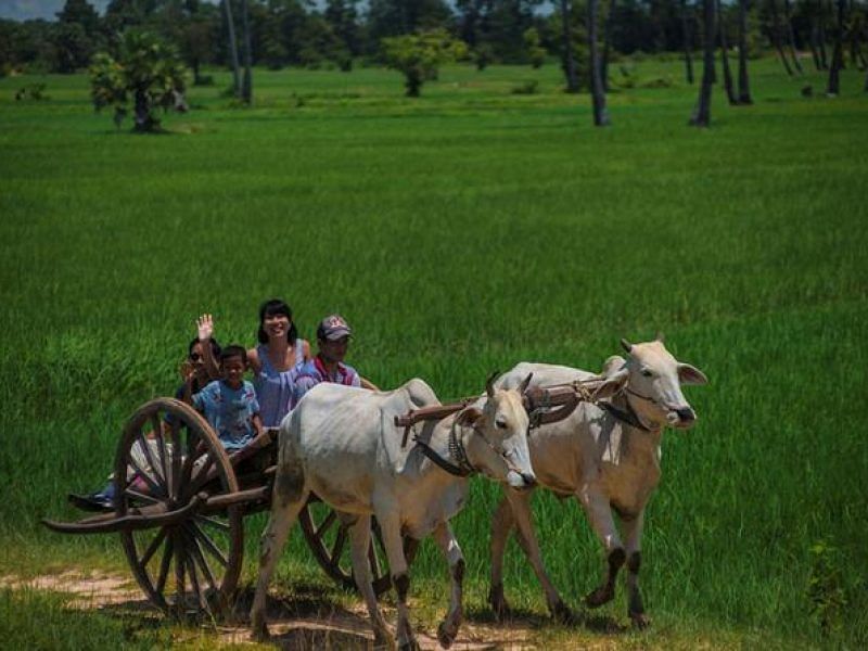 Vespa Countryside Adventure in Siem Reap: Explore Authentic Cambodia