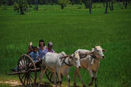 Vespa Countryside Adventure in Siem Reap: Explore Authentic Cambodia