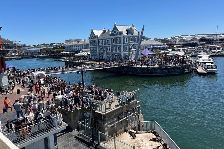 Robben Island Museum Ticket Ferry Half Day Tour