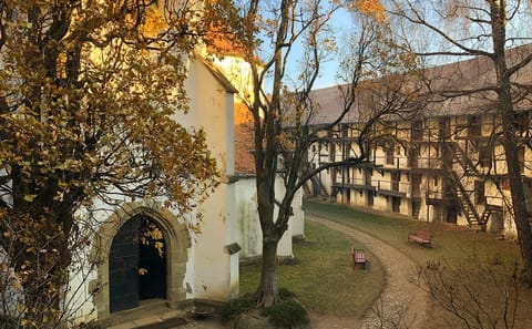 Half-Day Tour of Fortified Churches from Brașov