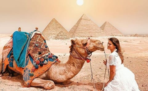 Cairo Day Tour with Grand Egyptian Museum from Sharm El-Sheikh