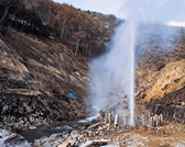 Nagano Snow Monkeys: Half Day Private Tour & Photo Gift 3