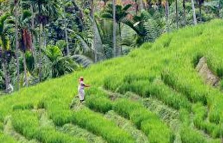 Cultural Triangle – 4N/5D